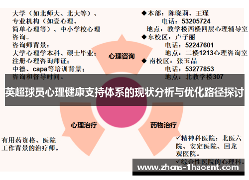 英超球员心理健康支持体系的现状分析与优化路径探讨