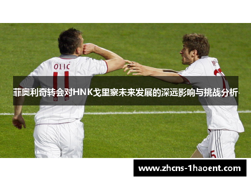 菲奥利奇转会对HNK戈里察未来发展的深远影响与挑战分析